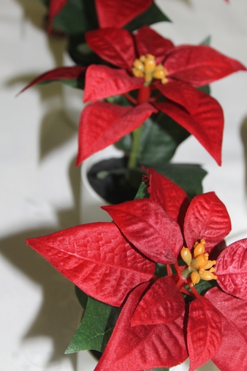 Ceia de Natal